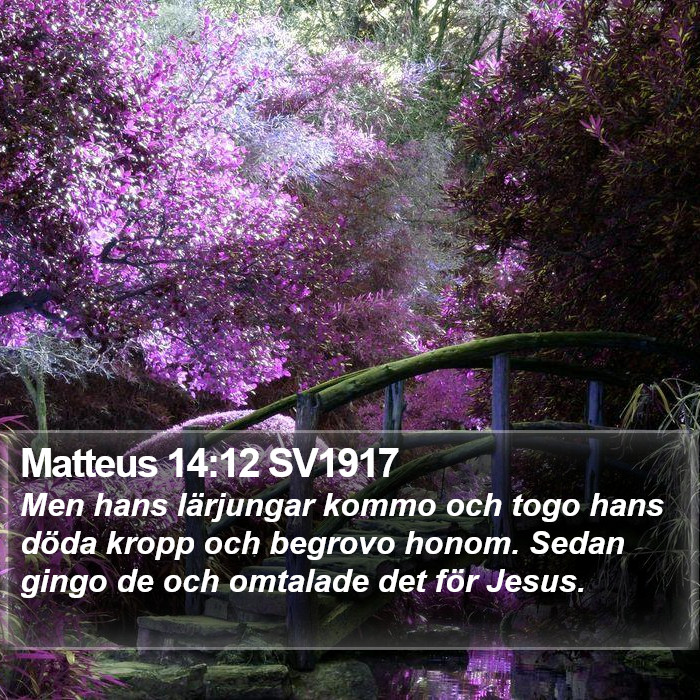 Matteus 14:12 SV1917 Bible Study
