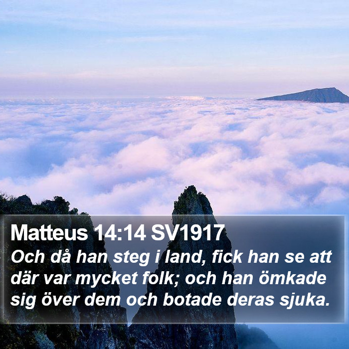 Matteus 14:14 SV1917 Bible Study