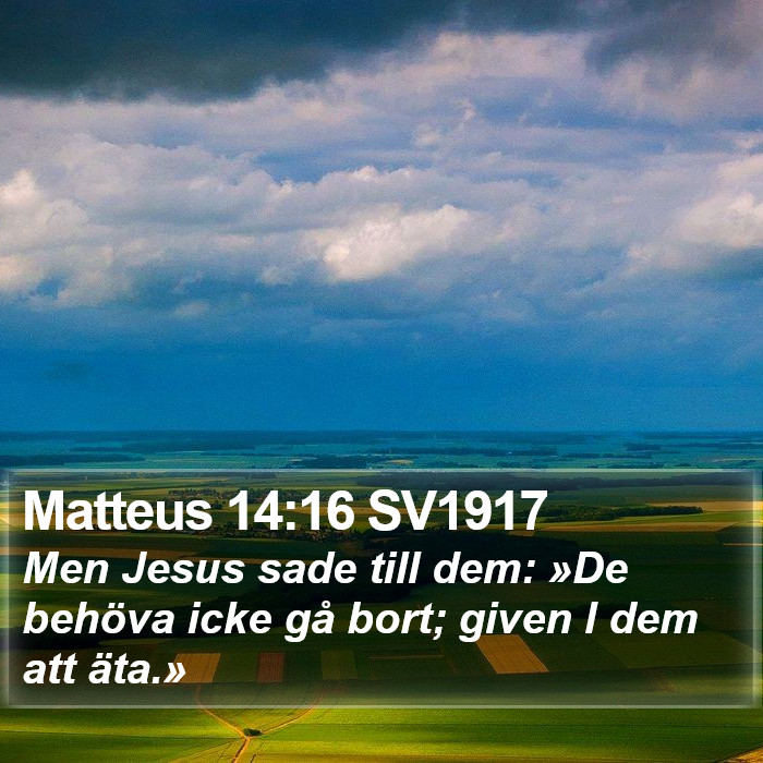 Matteus 14:16 SV1917 Bible Study