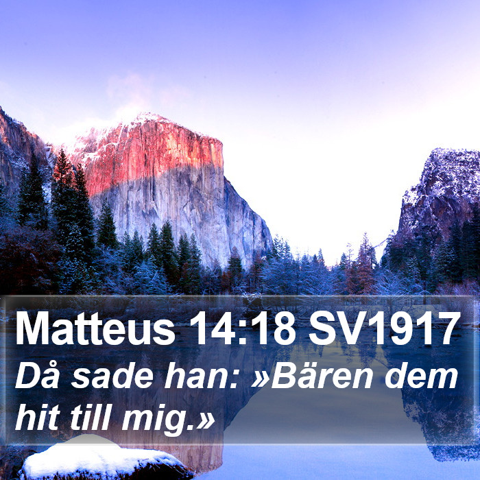 Matteus 14:18 SV1917 Bible Study
