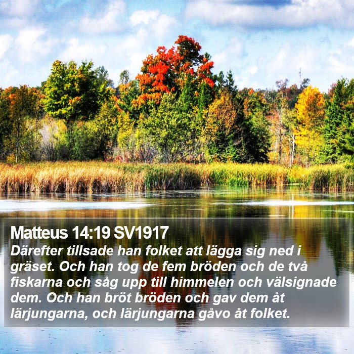 Matteus 14:19 SV1917 Bible Study