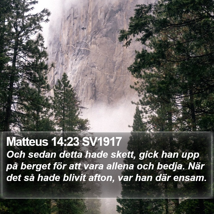 Matteus 14:23 SV1917 Bible Study