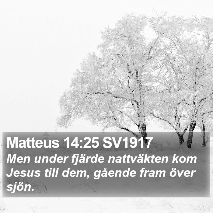 Matteus 14:25 SV1917 Bible Study