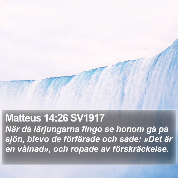Matteus 14:26 SV1917 Bible Study