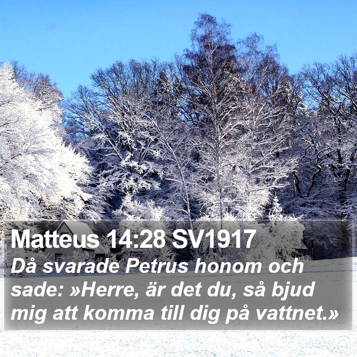Matteus 14:28 SV1917 Bible Study