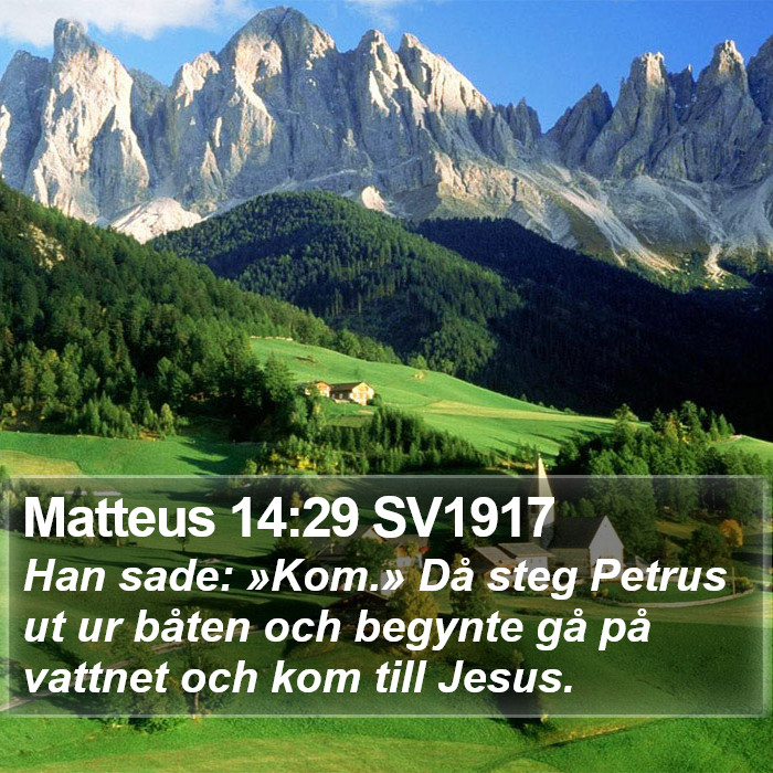 Matteus 14:29 SV1917 Bible Study