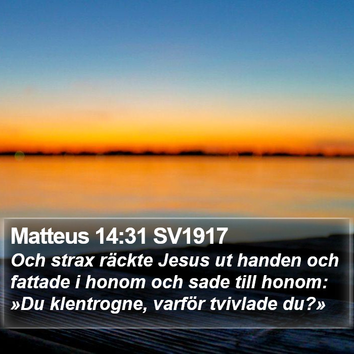 Matteus 14:31 SV1917 Bible Study