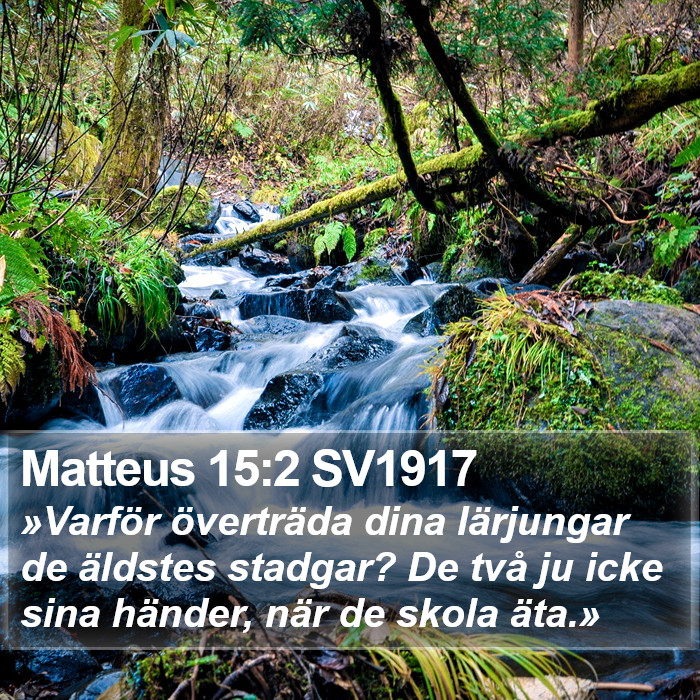 Matteus 15:2 SV1917 Bible Study