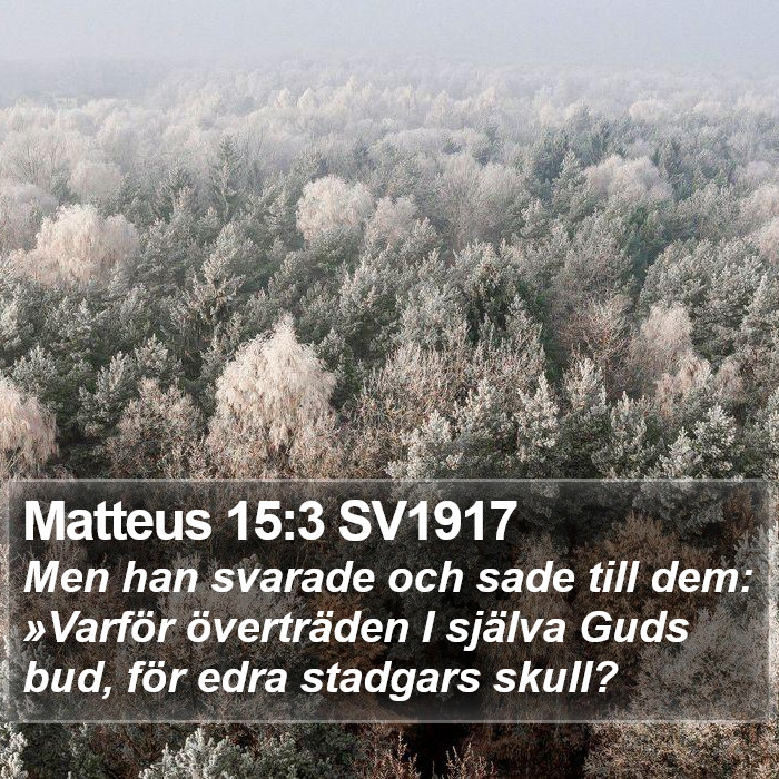 Matteus 15:3 SV1917 Bible Study