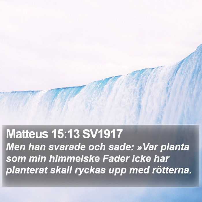 Matteus 15:13 SV1917 Bible Study