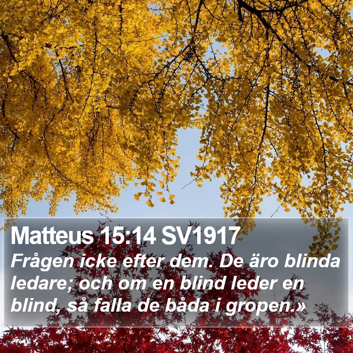 Matteus 15:14 SV1917 Bible Study