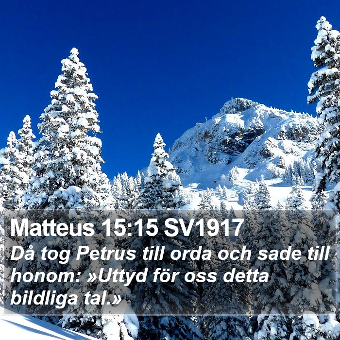 Matteus 15:15 SV1917 Bible Study
