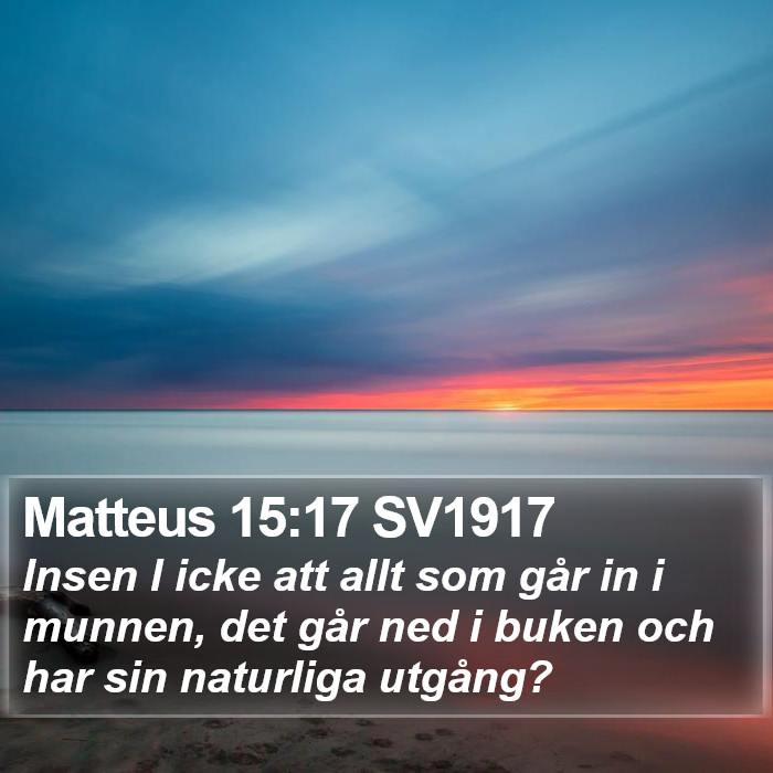 Matteus 15:17 SV1917 Bible Study