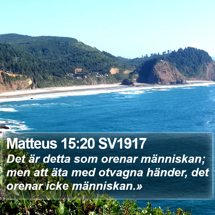 Matteus 15:20 SV1917 Bible Study