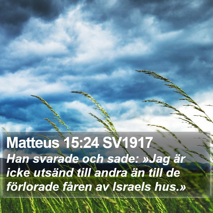 Matteus 15:24 SV1917 Bible Study