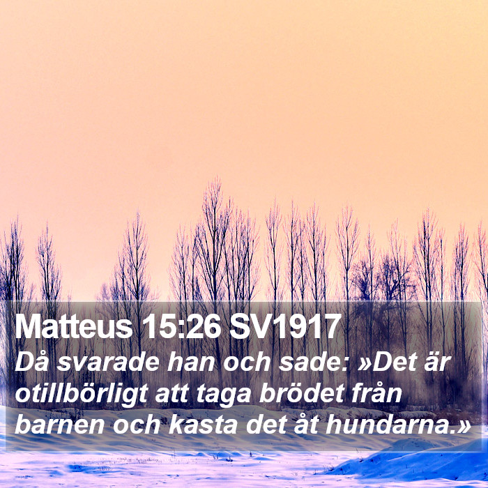 Matteus 15:26 SV1917 Bible Study