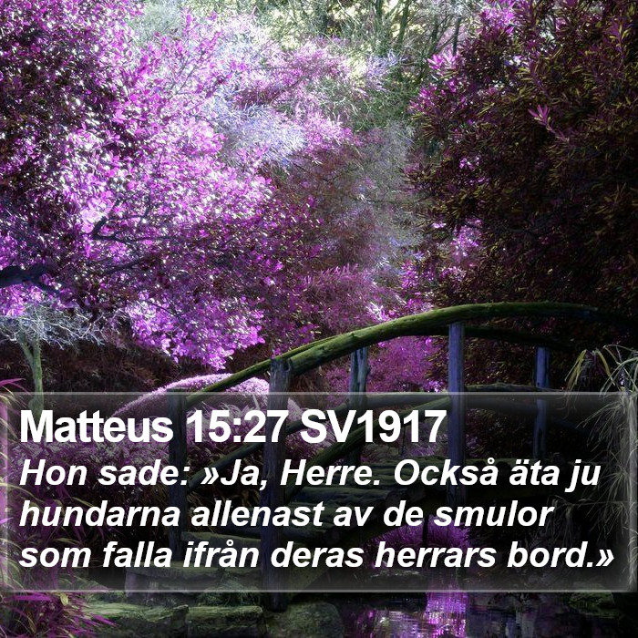 Matteus 15:27 SV1917 Bible Study