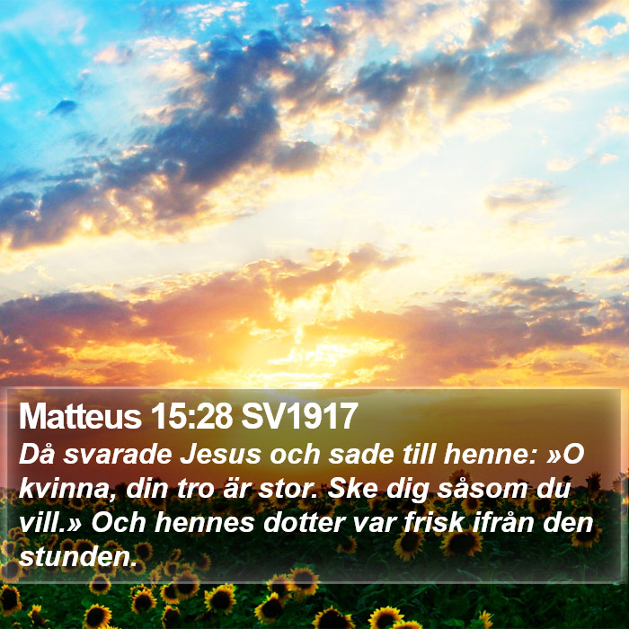 Matteus 15:28 SV1917 Bible Study