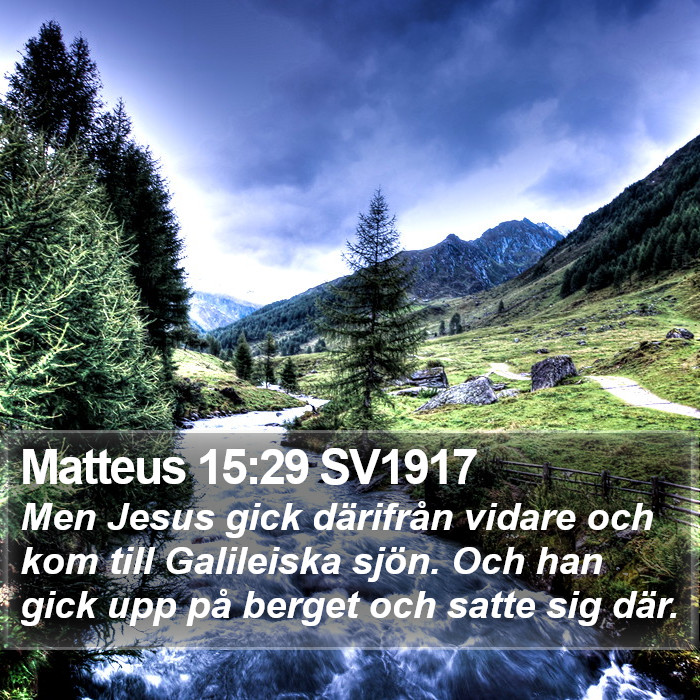 Matteus 15:29 SV1917 Bible Study