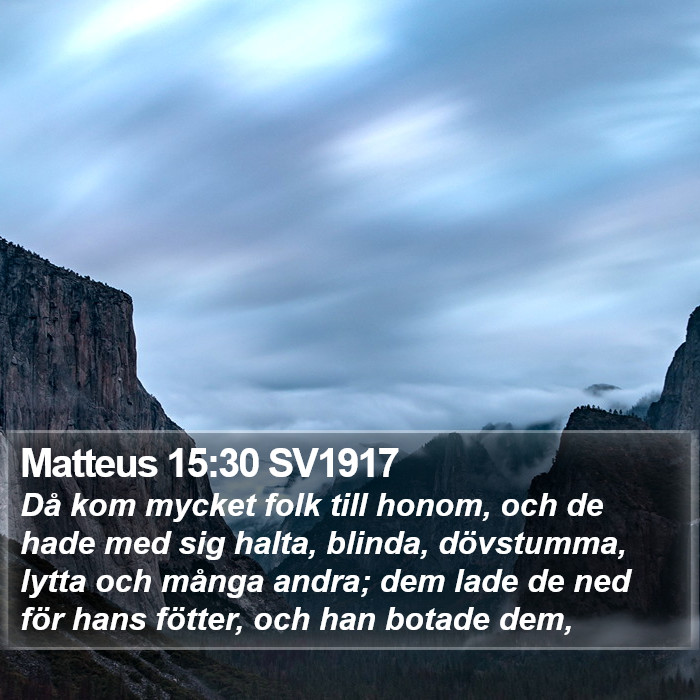 Matteus 15:30 SV1917 Bible Study