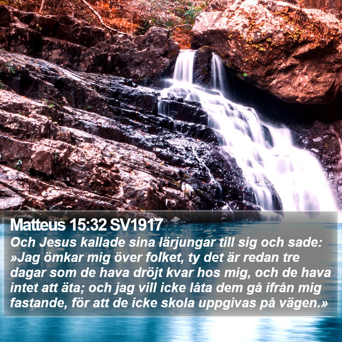 Matteus 15:32 SV1917 Bible Study