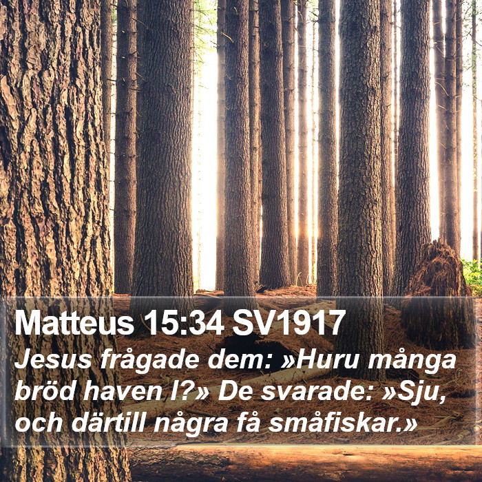 Matteus 15:34 SV1917 Bible Study
