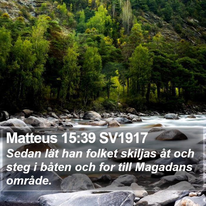 Matteus 15:39 SV1917 Bible Study
