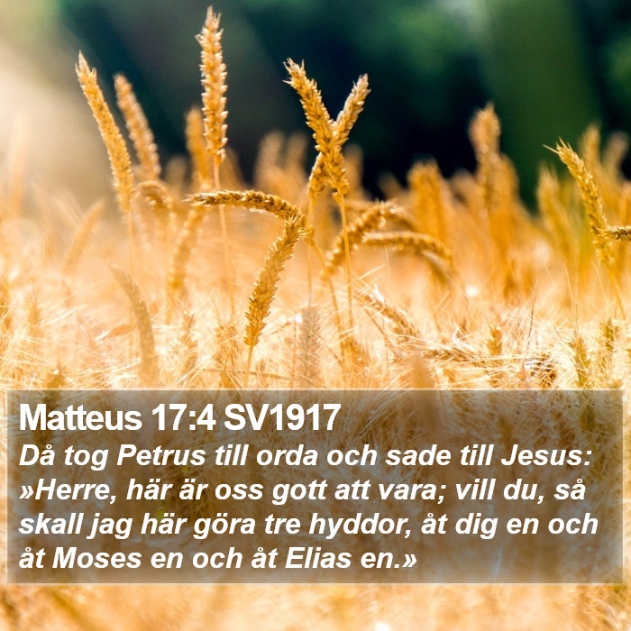 Matteus 17:4 SV1917 Bible Study