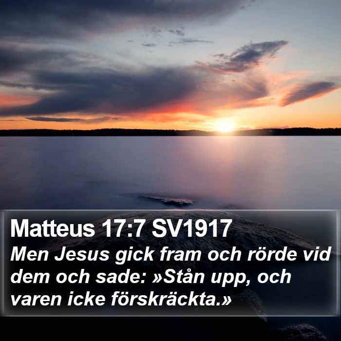 Matteus 17:7 SV1917 Bible Study