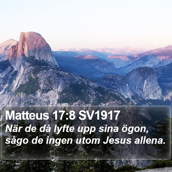 Matteus 17:8 SV1917 Bible Study