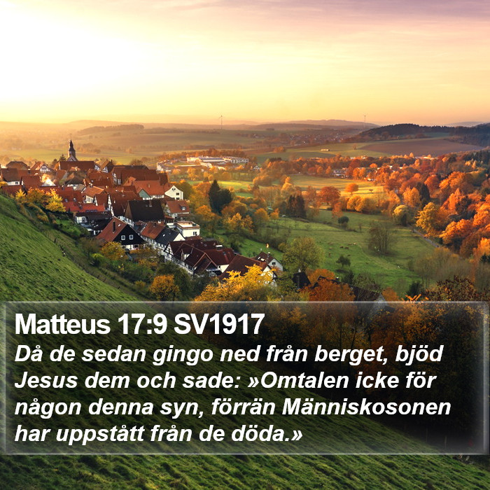 Matteus 17:9 SV1917 Bible Study