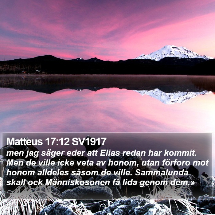 Matteus 17:12 SV1917 Bible Study