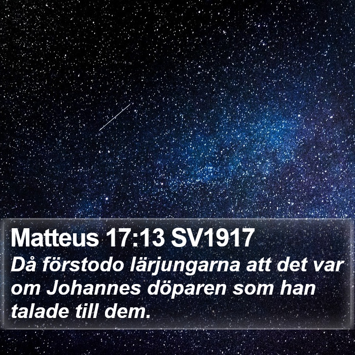 Matteus 17:13 SV1917 Bible Study