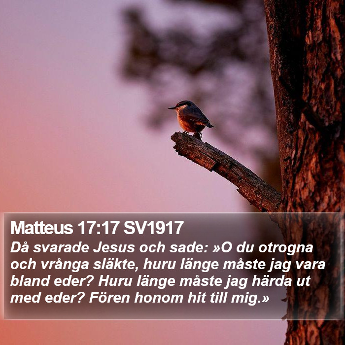 Matteus 17:17 SV1917 Bible Study