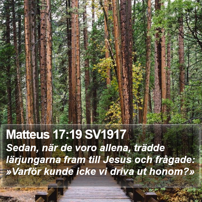 Matteus 17:19 SV1917 Bible Study