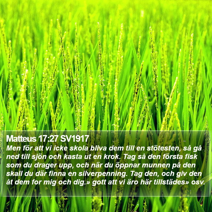 Matteus 17:27 SV1917 Bible Study