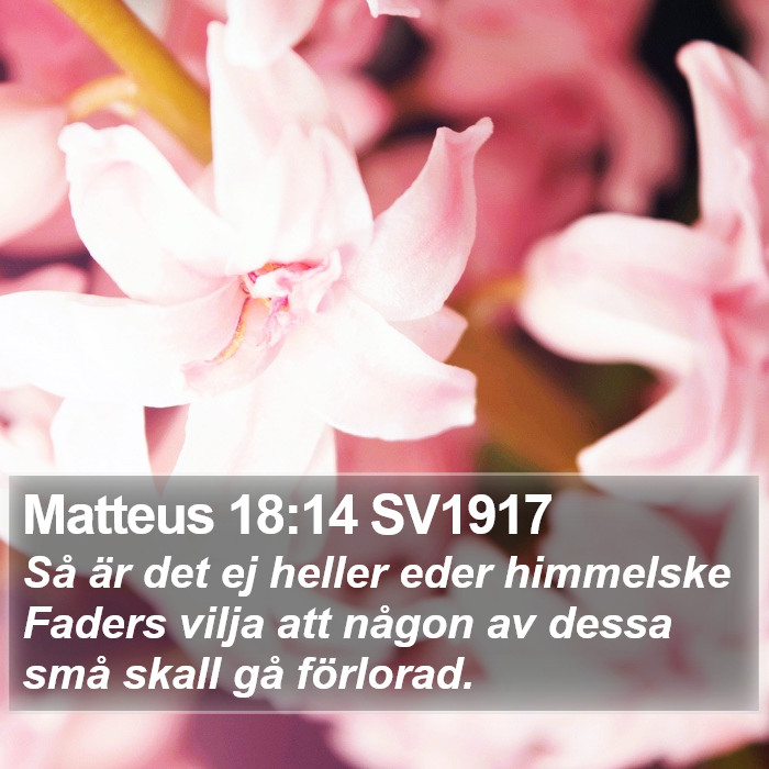 Matteus 18:14 SV1917 Bible Study