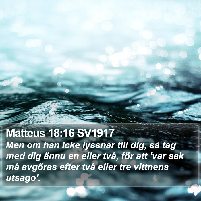 Matteus 18:16 SV1917 Bible Study