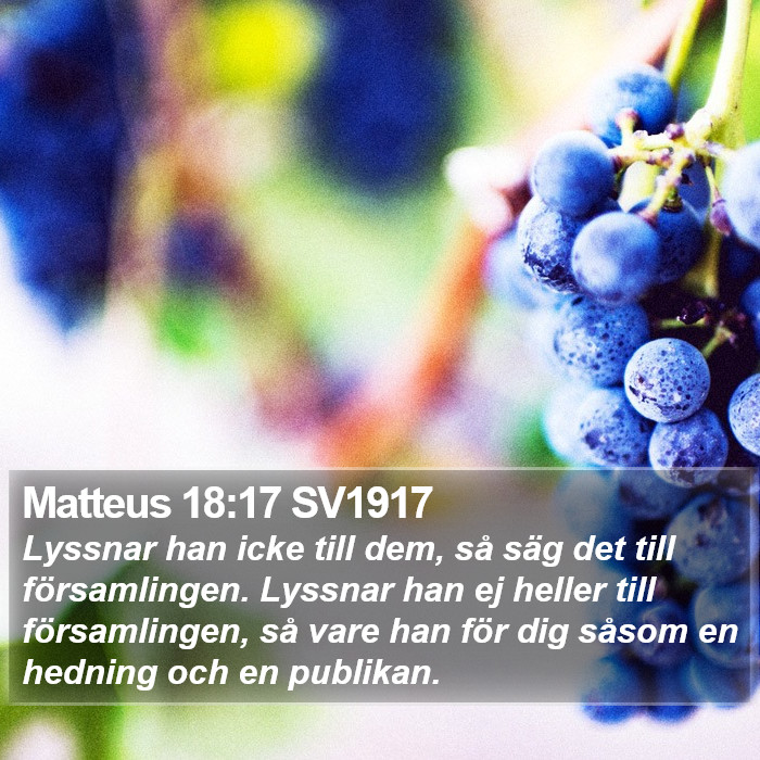 Matteus 18:17 SV1917 Bible Study