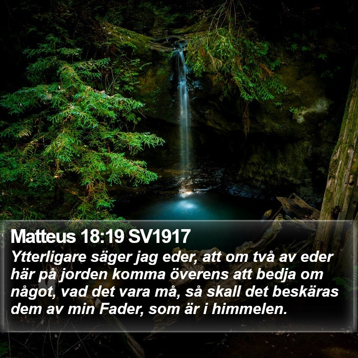 Matteus 18:19 SV1917 Bible Study