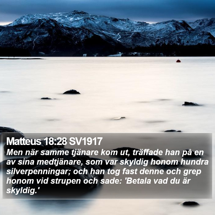 Matteus 18:28 SV1917 Bible Study