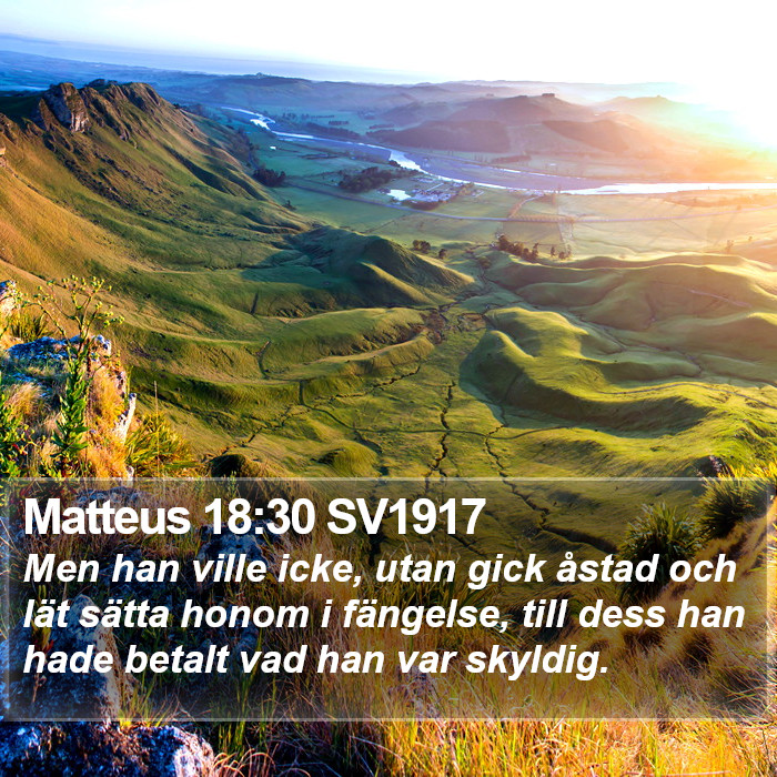 Matteus 18:30 SV1917 Bible Study