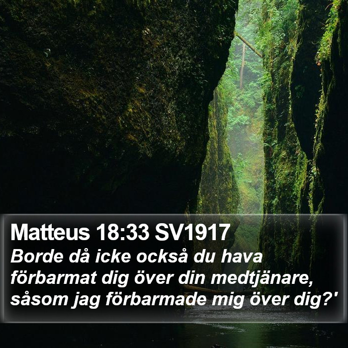Matteus 18:33 SV1917 Bible Study