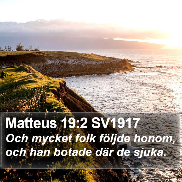 Matteus 19:2 SV1917 Bible Study