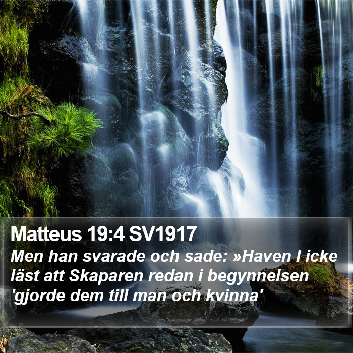 Matteus 19:4 SV1917 Bible Study