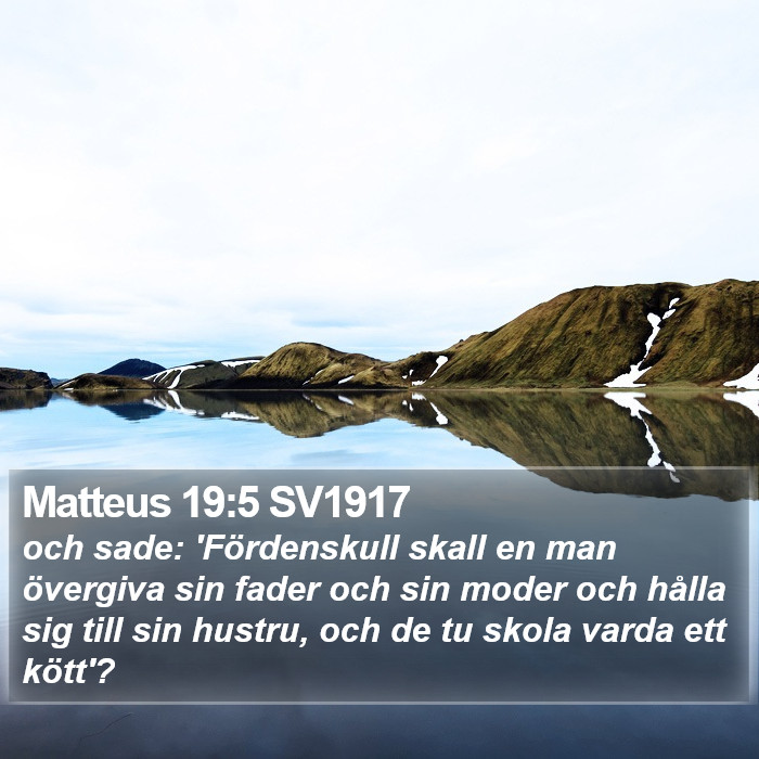 Matteus 19:5 SV1917 Bible Study