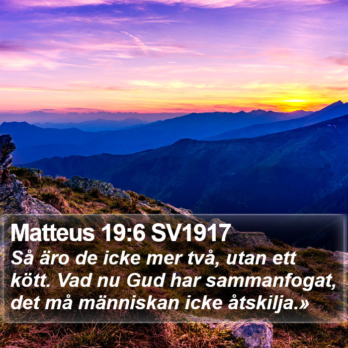 Matteus 19:6 SV1917 Bible Study