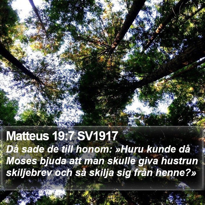 Matteus 19:7 SV1917 Bible Study