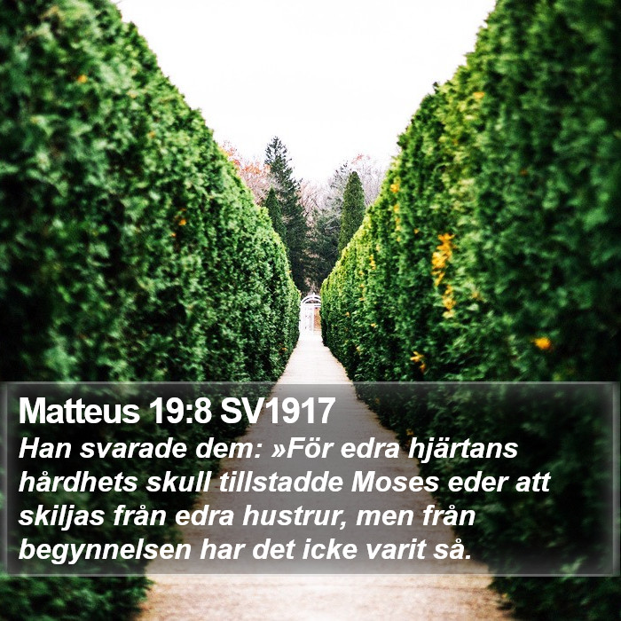 Matteus 19:8 SV1917 Bible Study