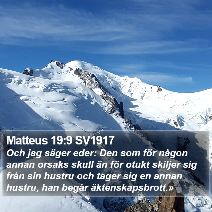 Matteus 19:9 SV1917 Bible Study